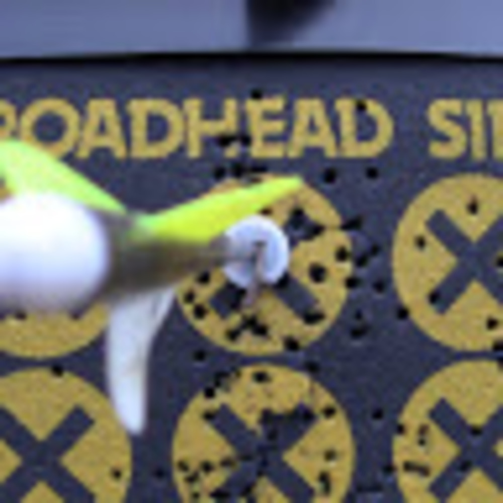 Meet your Posher, Thedavid2139